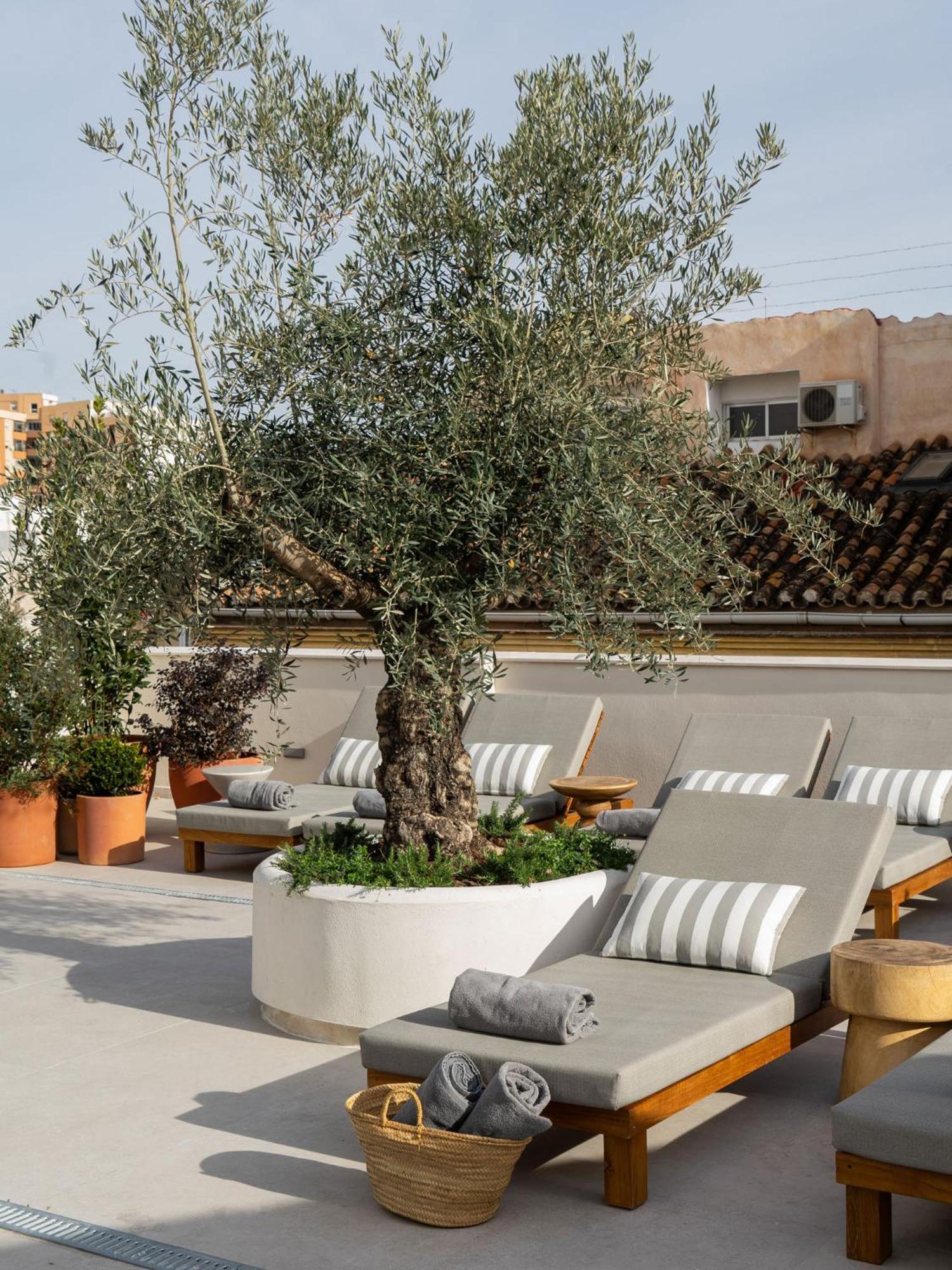 Hotel Well And Come מאלגה מראה חיצוני תמונה